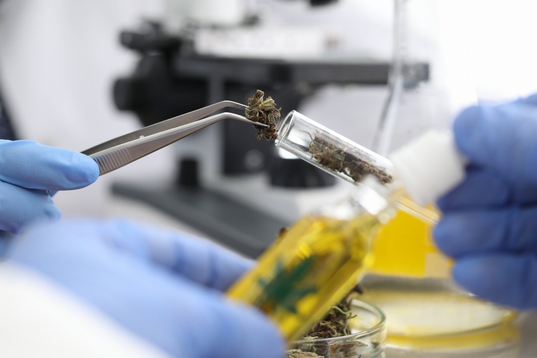 Scientist researching cannabinoids in a lab.