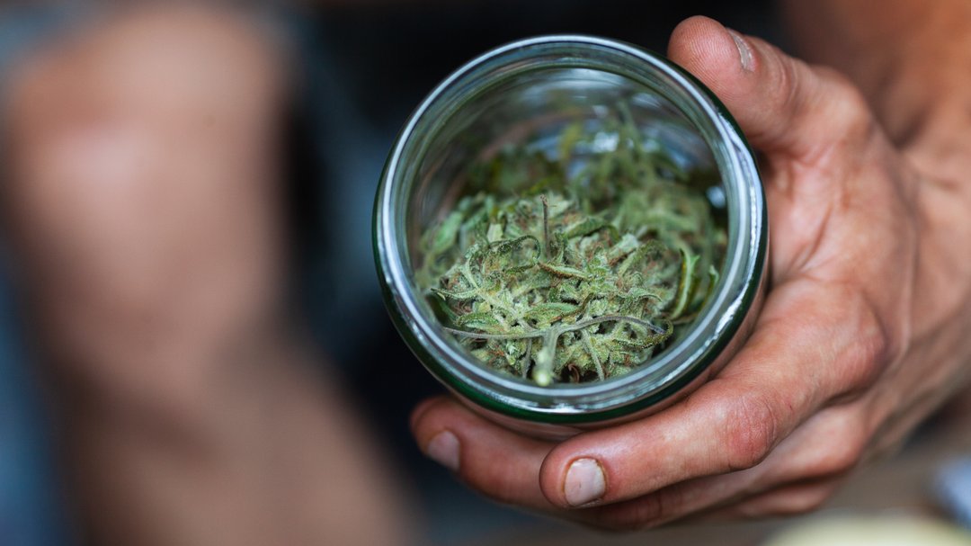 Delta-8 flower buds in a clear jar