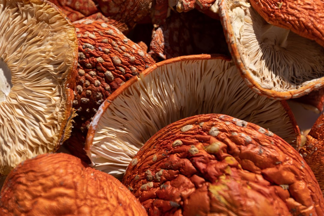 Amanita Muscaria Dried Hats Muscarine dry red cap