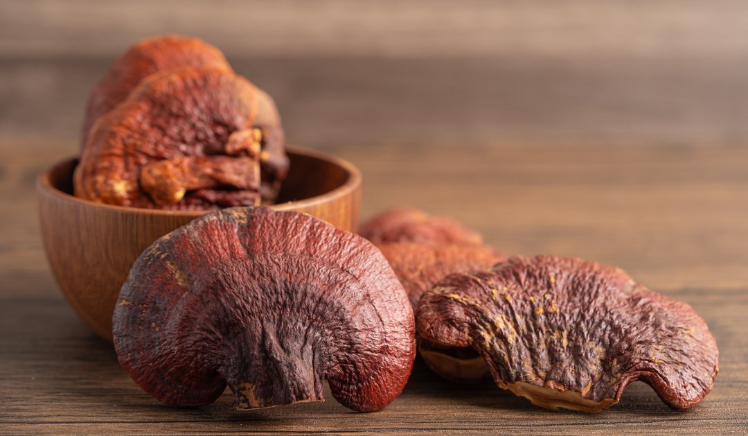 Reishi mushroom caps in a bowl