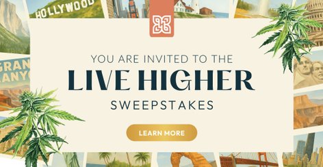 Live Higher Sweepstakes: Sign Up for a Chance to Win FREE Gummies