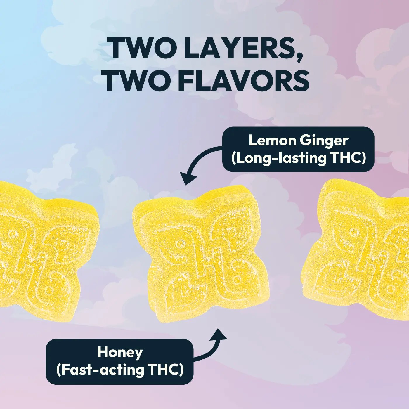 two layers infographic