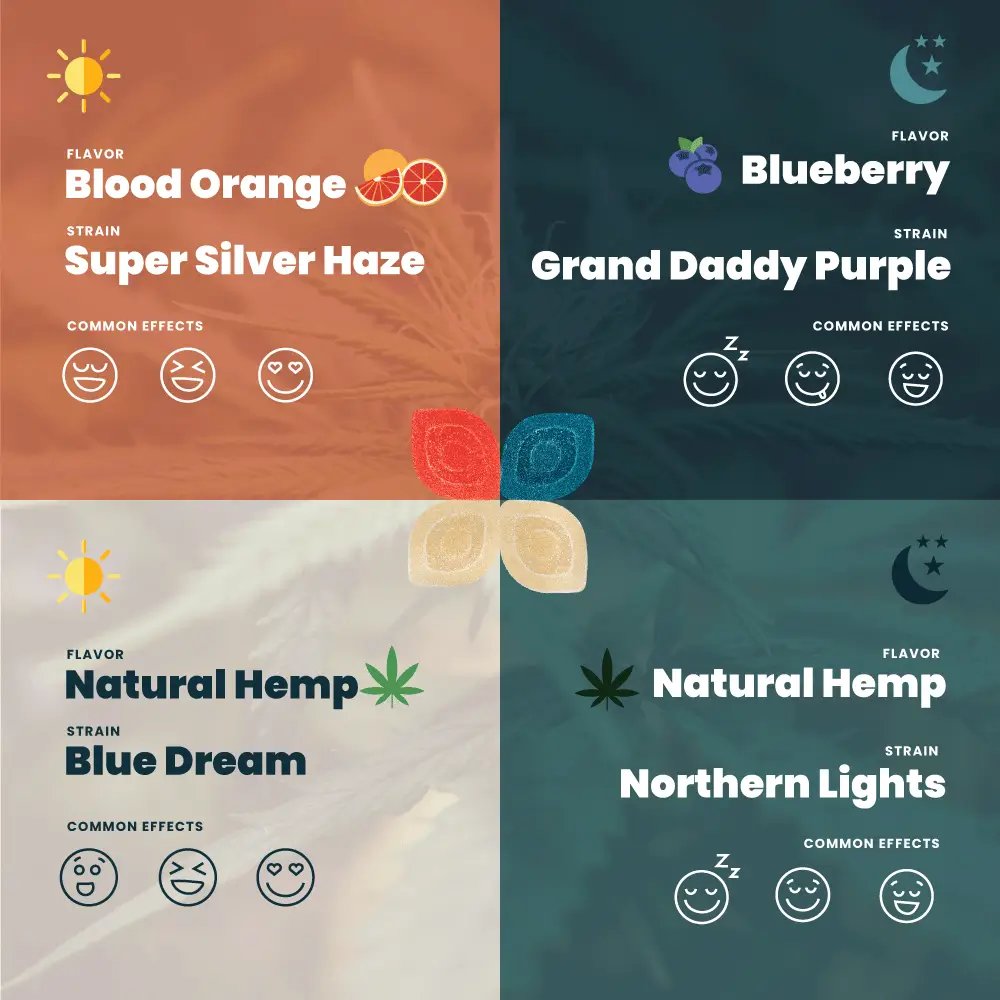 comparing 4 strains of cannabis effects and flavors