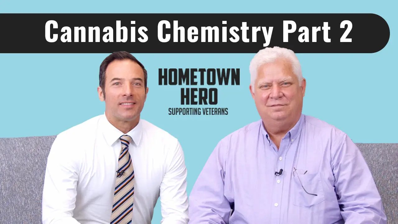 Cannabis Chemistry: The Endocannabinoid System