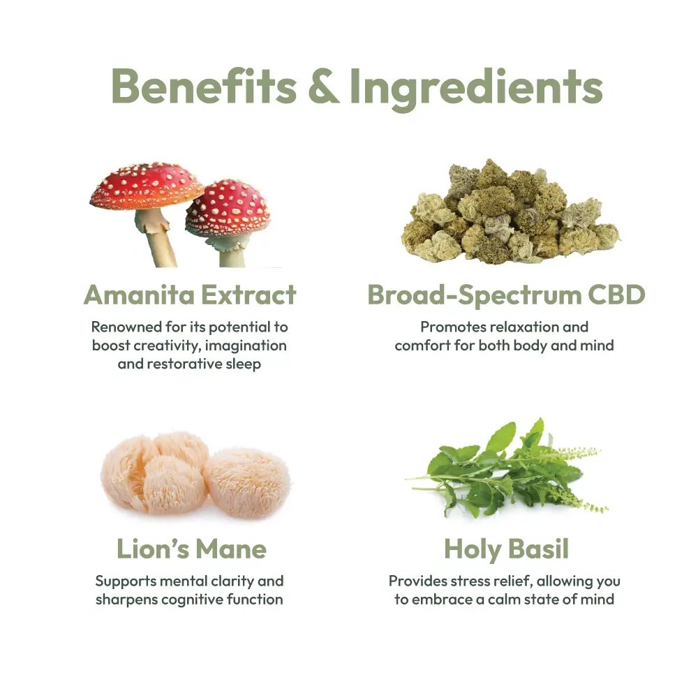 infographic of ingredients