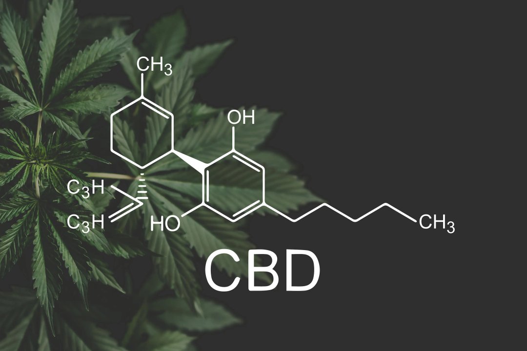 Hemp flower with CBD molecule graphic overlay.