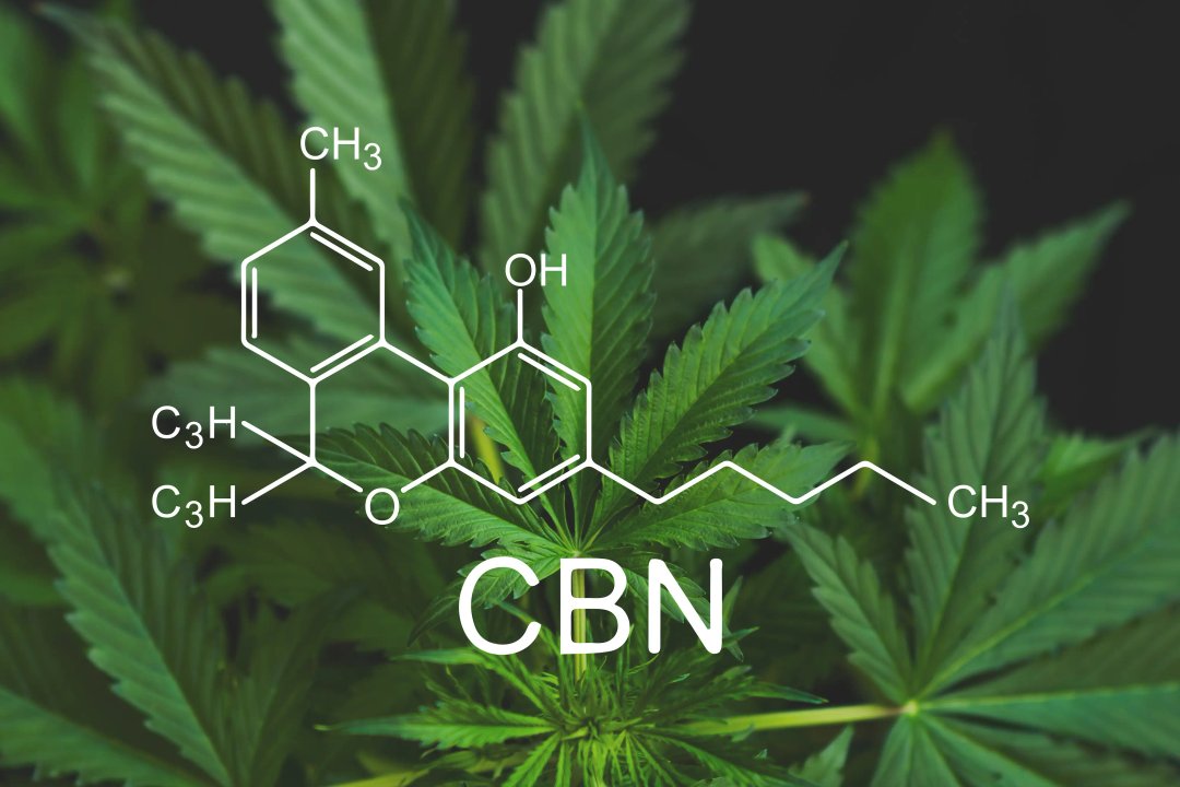 Hemp flower with CBN molecule graphic overlay.