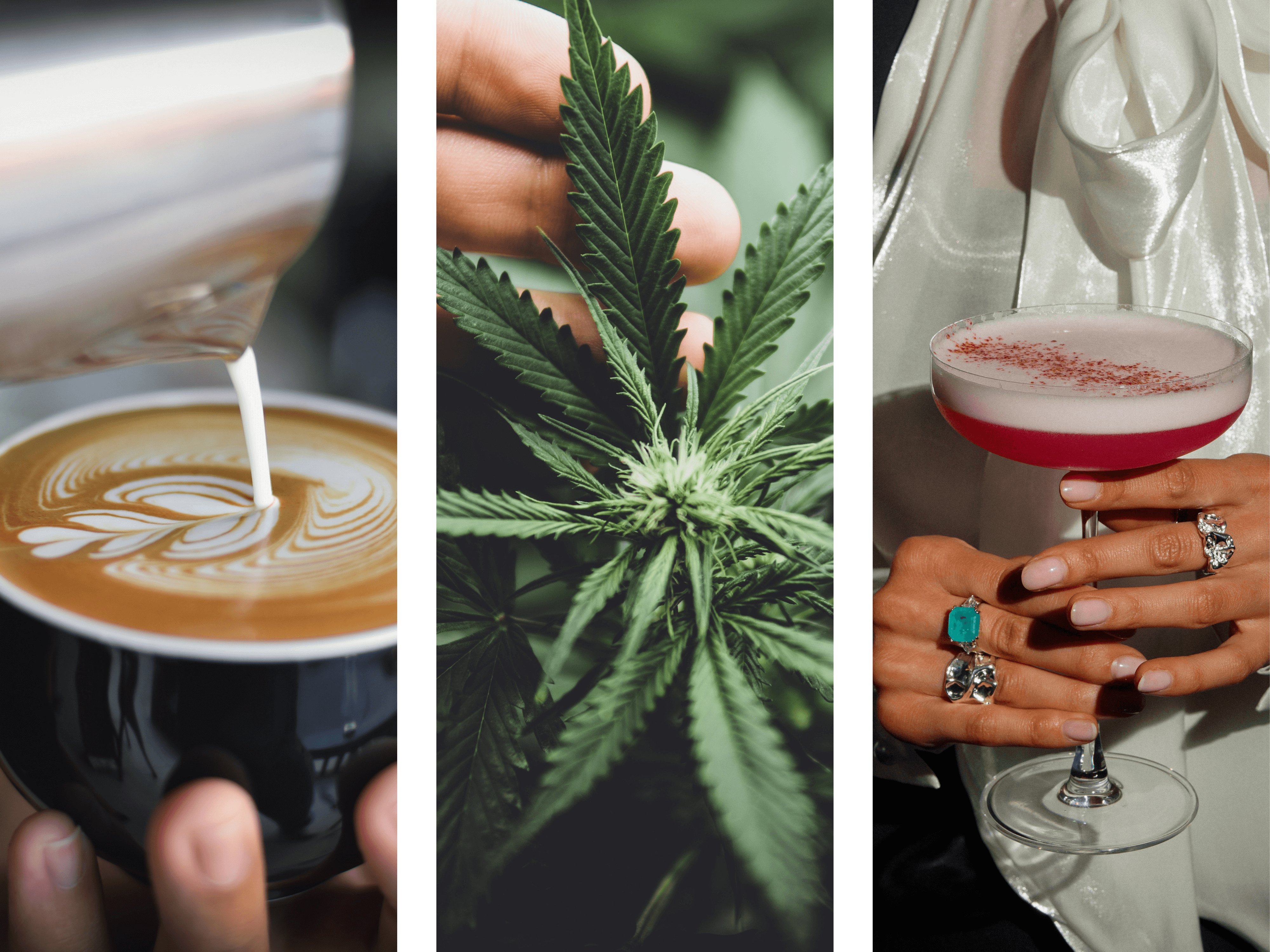alcohol glass, cannabis plant and coffee cup aka caffeine