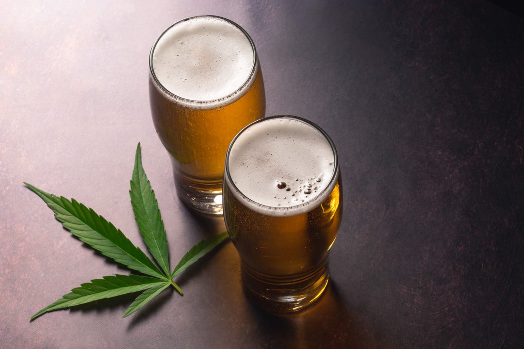 cannabis leaf next to beer drinks