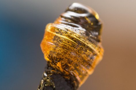 A Complete Guide to the Different Types of Dabs