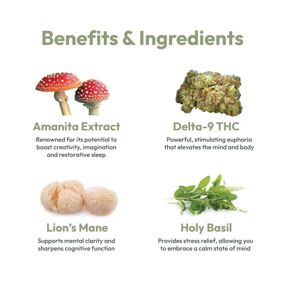 infographic of ingredients