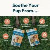 benefits of dog cbd treats