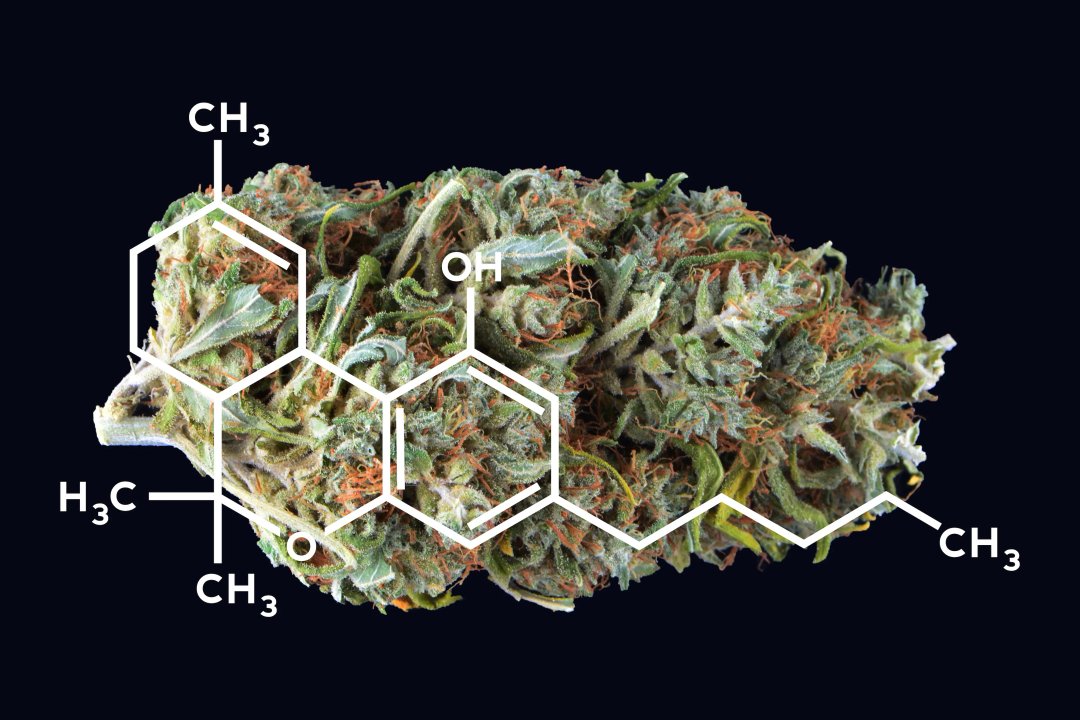 cannabis bud with a THC or CBD molecule diagram