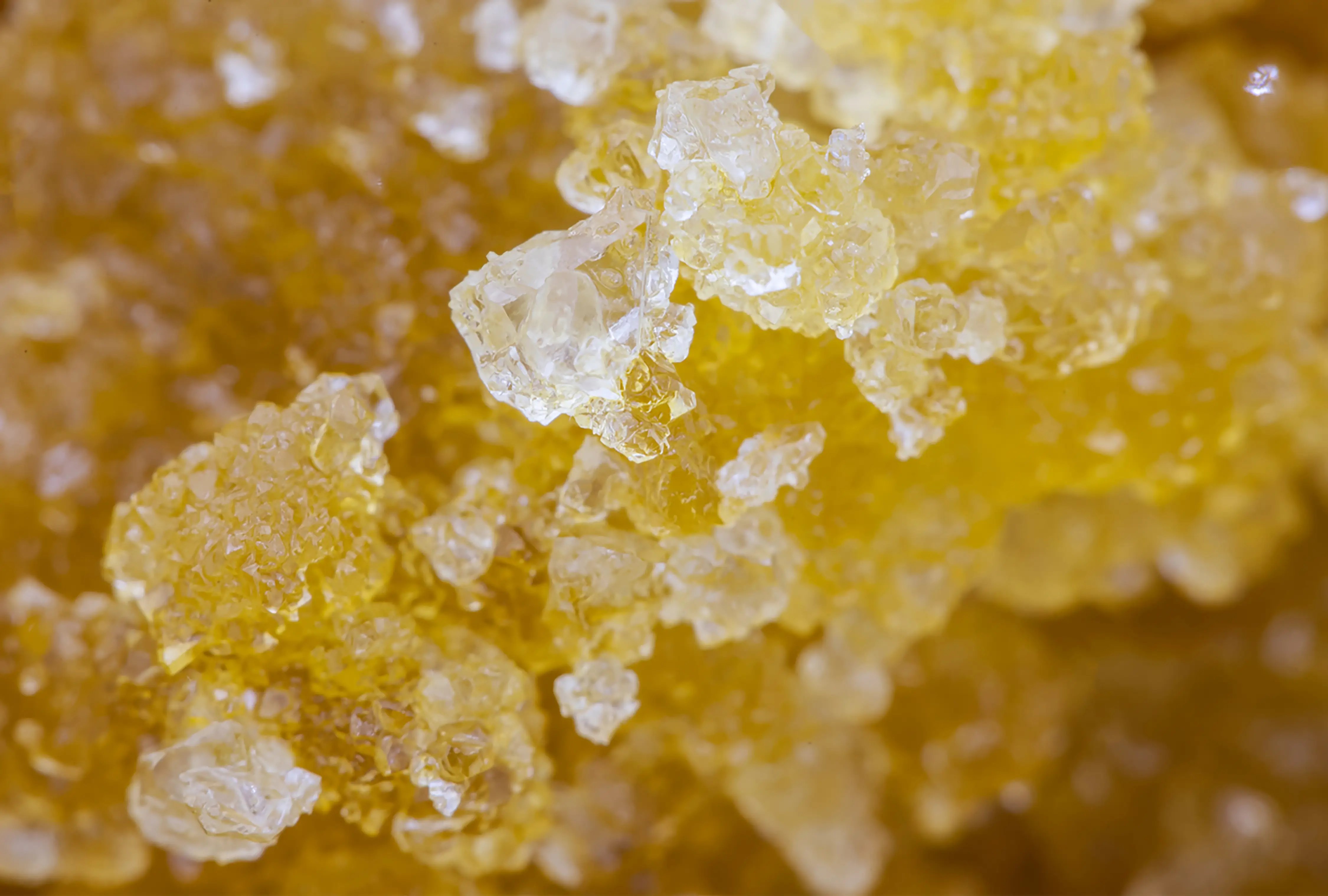 Live Resin vs. Live Rosin: A Guide to Cannabis Extracts