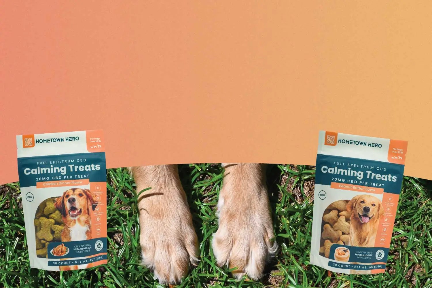 2 bags of CBD treats next to a dog's paws