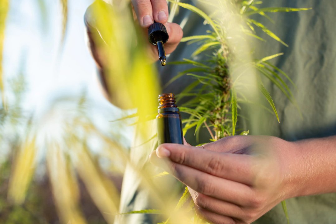 man using a cbd oil tincture on a hemp farm