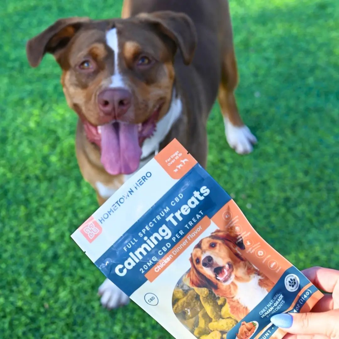 woman's hand holding chicken cbd treats