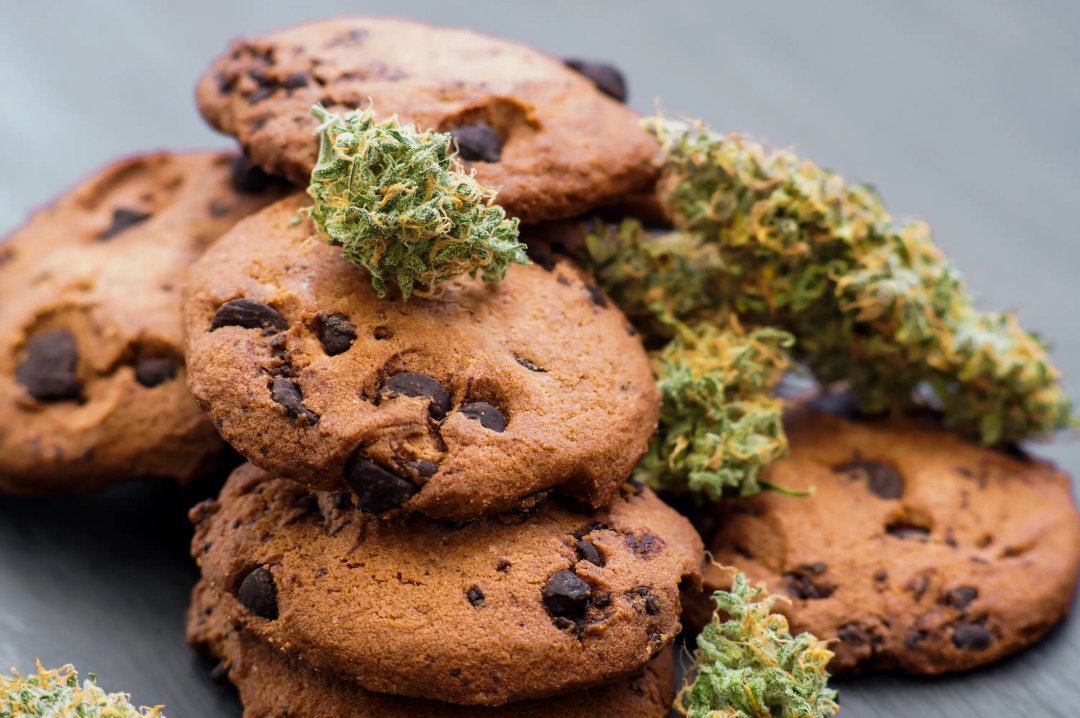 chocolate chip cookie edibles with cannabis buds on top