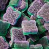 Passion Fruit Guava gummies closeup