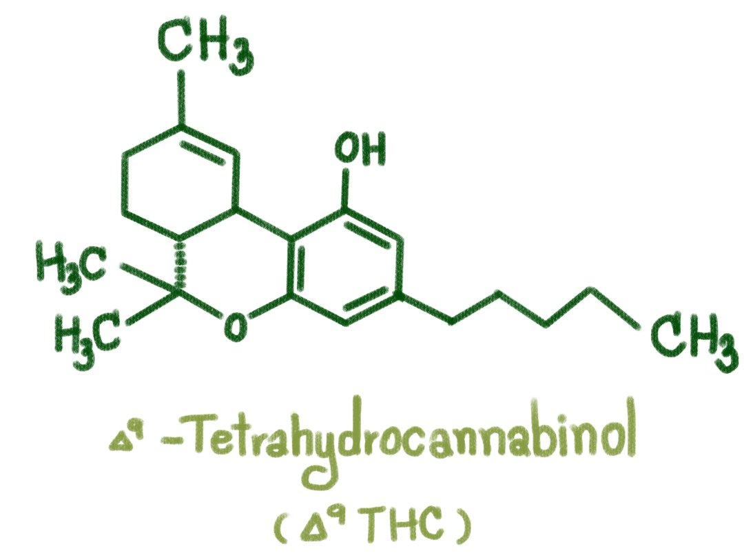 delta-9 thc structure