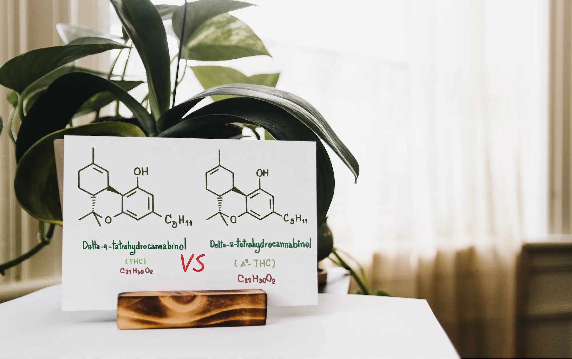 Delta-9 vs. Delta-8 THC: What's the Difference?