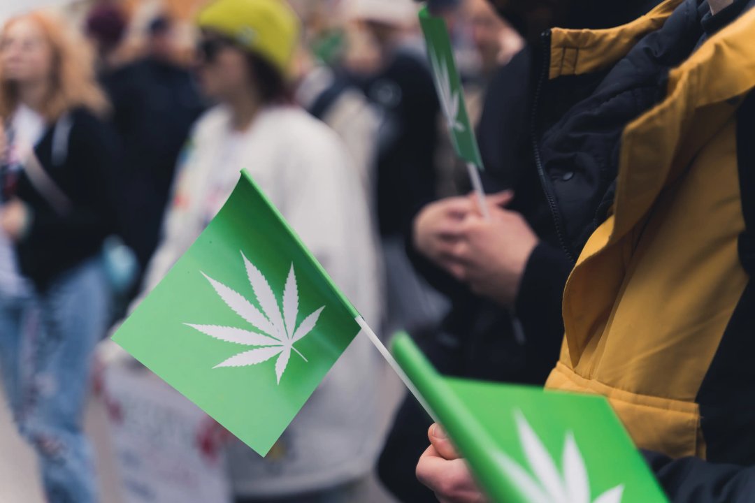 flags with marijuana symbol showing support for weed legality