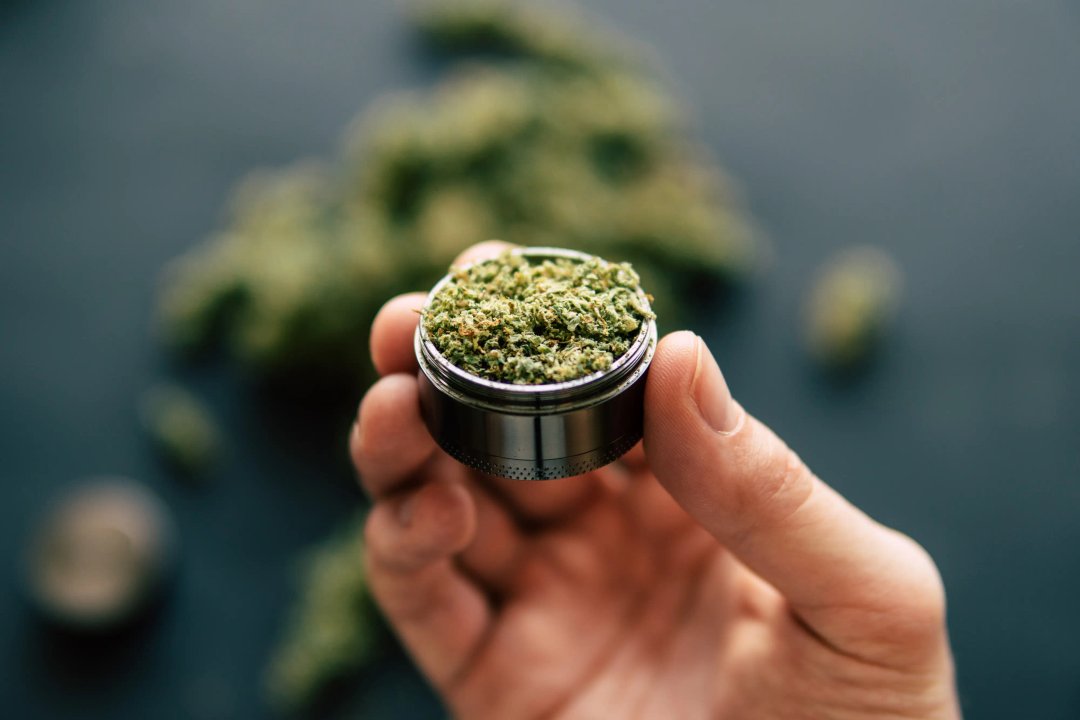 ground up cannabis flower in a steel herb grinder