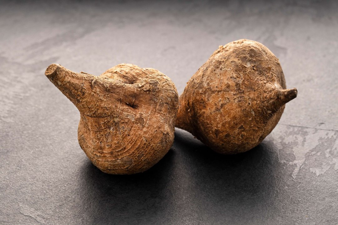 two maca root bulbs on a table