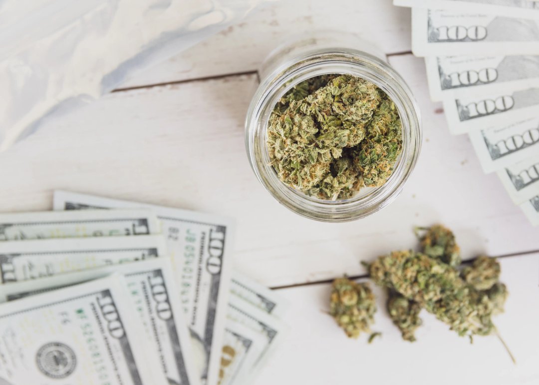 dollar bills and cannabis buds on a table