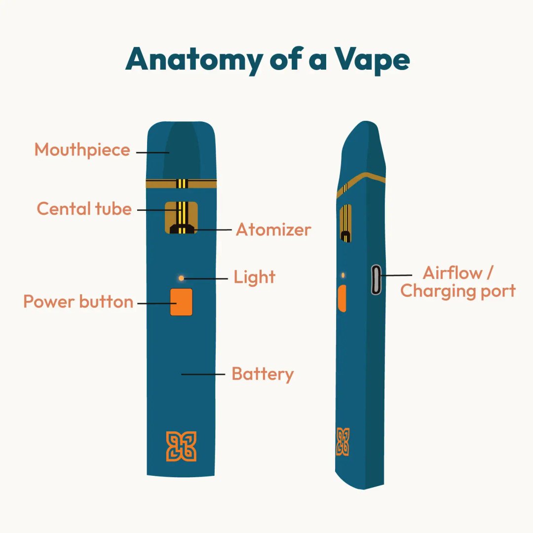 vape pen infographic