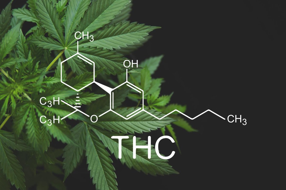 thc molecule chemical structure diagram