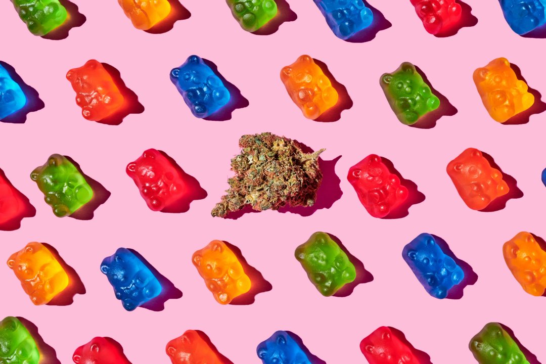 thc gummy bears