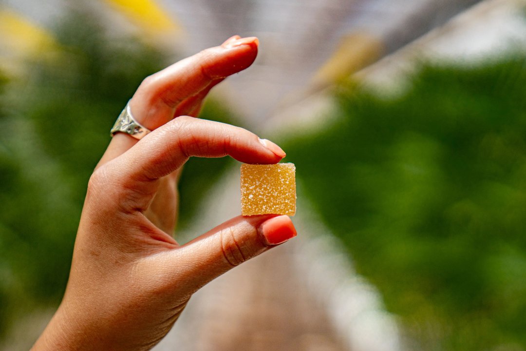 woman holding off brand gummy