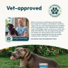 vet approved dog treats infographic